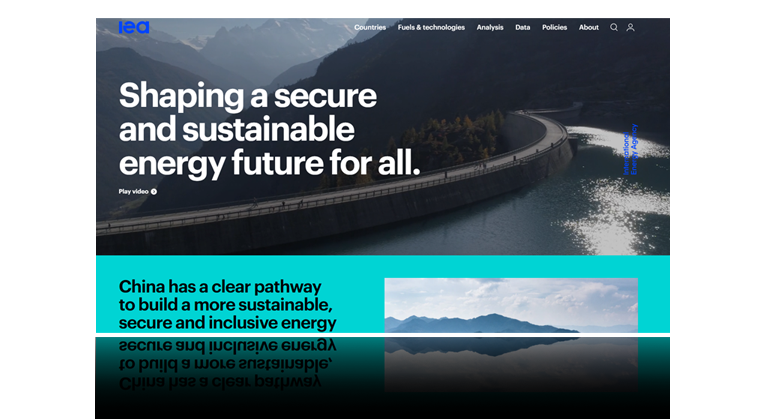 International Energy Agency